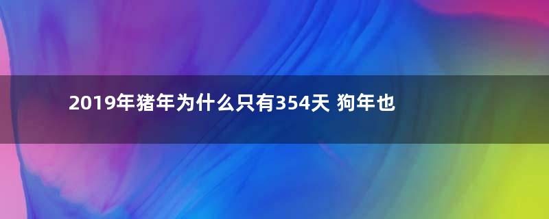 2019年猪年为什么只有354天 狗年也只有354天